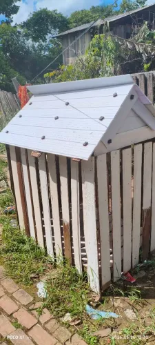 Casinha de cachorro 250