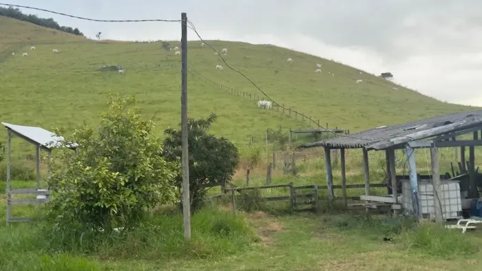 FAZENDA COM 82 HECTARES TODA PRONTA NA VIA LAGOS