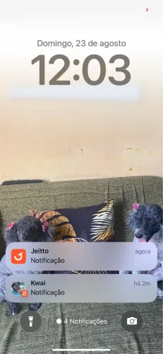 Celular