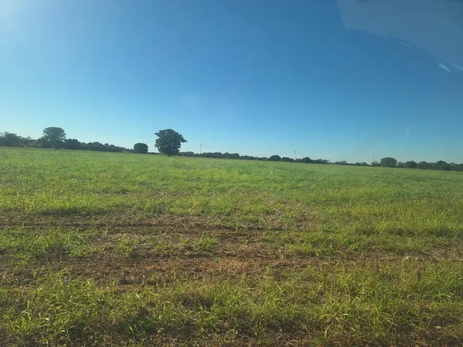 à Venda - Fazenda São José | 685,1883 ha | Alexânia - GO