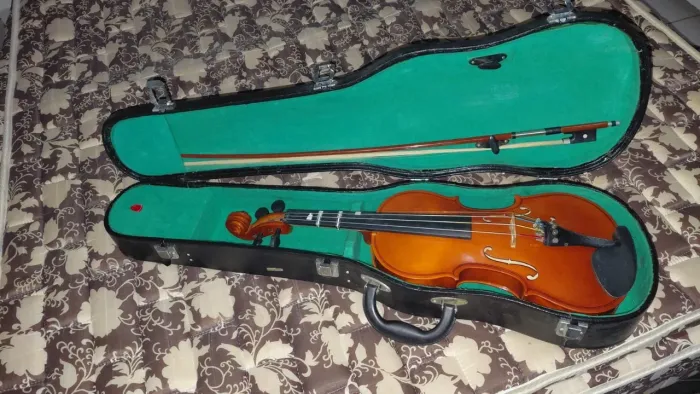 Violino Dignoli