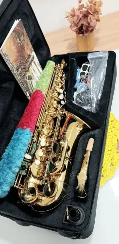 Saxofone Alto Slade Novo! Garantia!