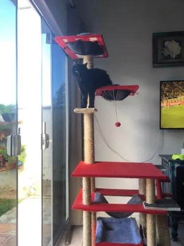Arranhador  para Gatos, com  toca  Rede Playground com duas camas 