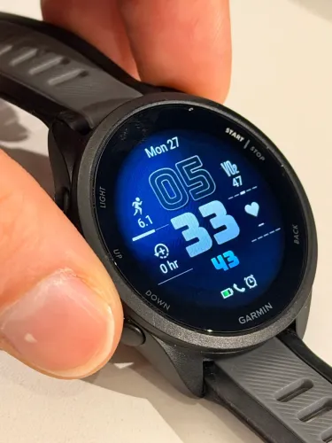 Garmin 165