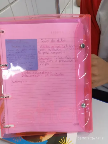 Fichário segundo ano rosa beterraba