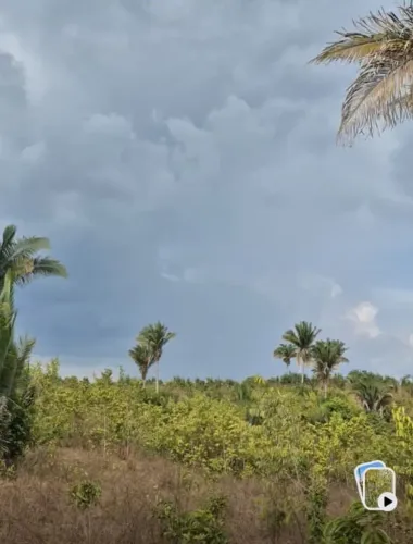 Fazenda em Santa Inês/MA 240ha