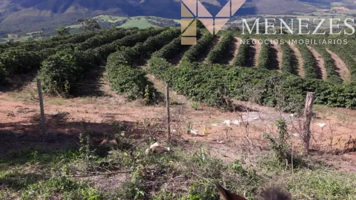 Fazenda à venda em Ilicínea