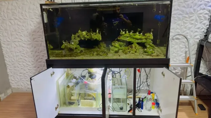 AQUÁRIO MARINHO COMPLETO 630L + SUMP + EQUIPAMENTOS