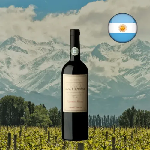 Vinho Argentino DV Catena Cabernet - Malbec 2024