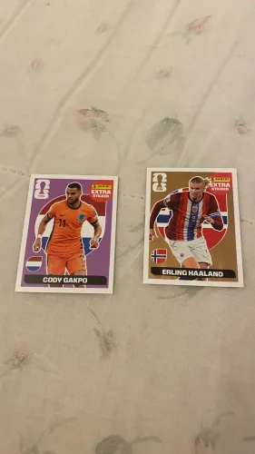 Figurinhas extras Haaland bronze e Gakpo roxo