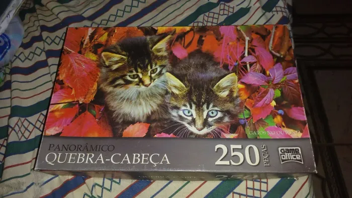 Vendo esse quebra-cabeça de gatinhos!