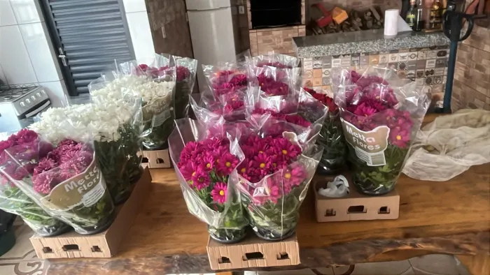 Vendo flores para finados