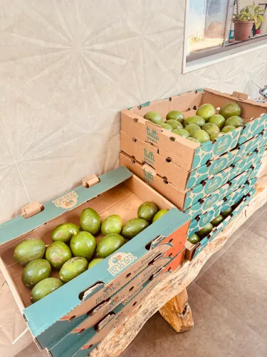 Vendo caixa de abacate Manteiga 