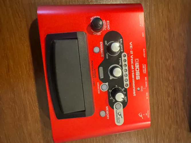 Boss ve 2 pedal