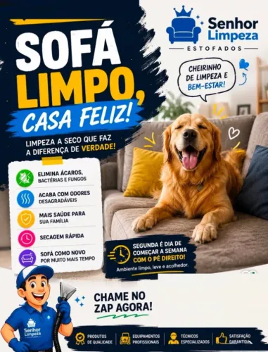 Lavagem a seco - máxima qualidade