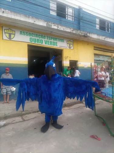 Fantasia da arara zul de pluma azul, feira de arame e madeira .