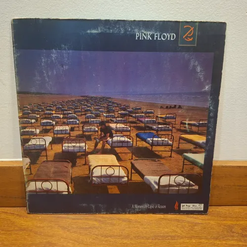 LP Pink Floyd / A momentary Lapse of Reason