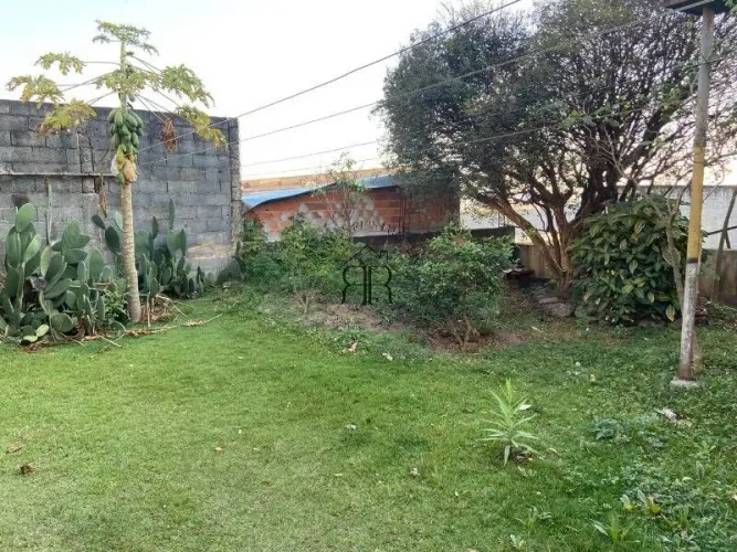 Terreno - São Paulo - SP - Cangaíba