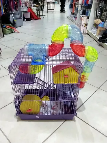 Gaiolas para hamster 