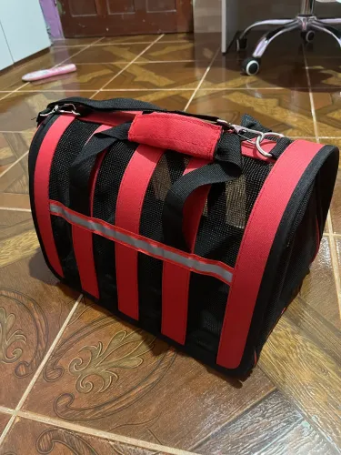 Caixa transparente gato e cachorro