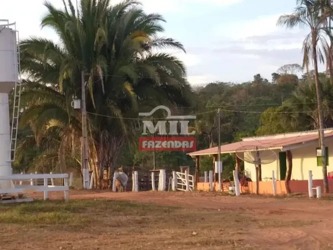 Fazenda (3.150 Hectares) Alto Araguaia - MT