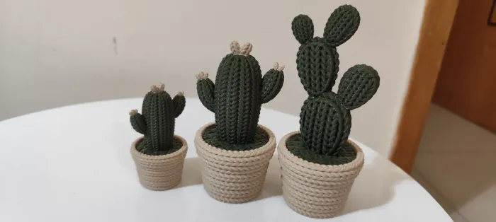 Lindos vasos decoração cactus 3D