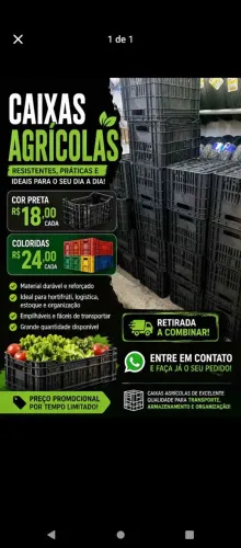 Caixas Plásticas Hortifruti preto , * Edimundo Gaido