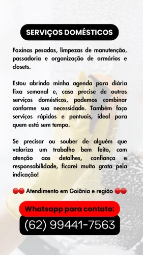 Faxina, Limpeza de Manutenção, Passadoria e Organização - Atendimento em Goiânia e Região