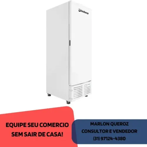 Freezer Congelador Vertical Imbera Novo