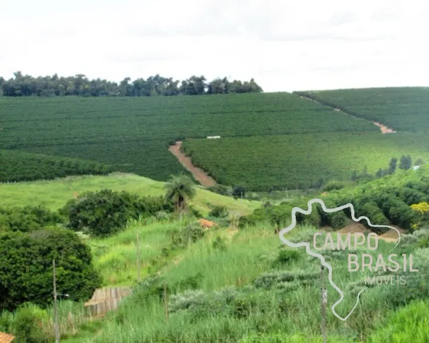 Linda fazenda com plantação de eucalipto e café em Minas Gerais.