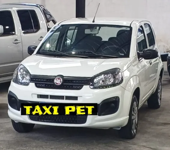 TAXI PARA PETS, caes, gatos etc. Tambem fazemos Mini Carreto
