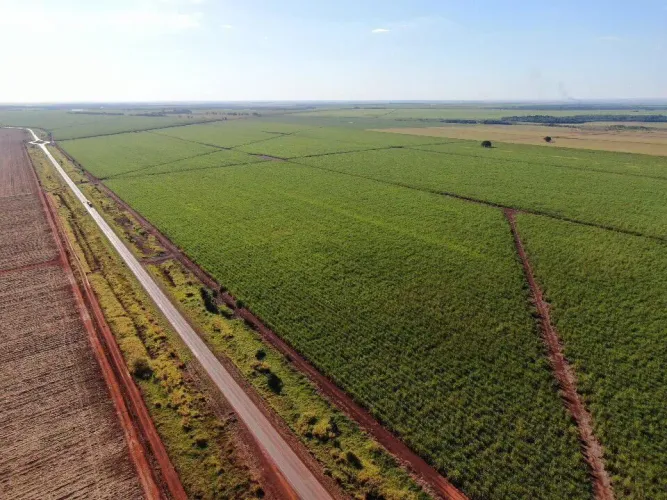 Fazenda 10.000hec MS. 7.000 hec plantado em cana, R$:110.000 por hec