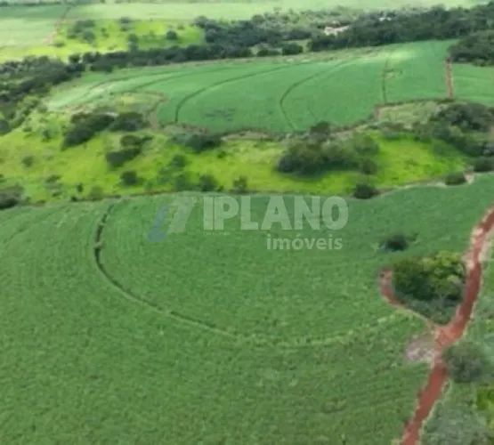Venda de Rural / Fazenda na cidade de Ribeirão Bonito