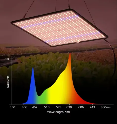 Qbc Quantum Board 120w Led Full Spectrum 40w 30cm
