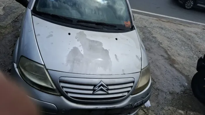 Sucata Citroen C3 05/06