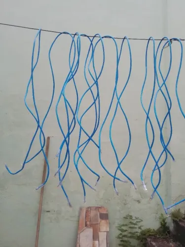 Cabos de rede - Pacote com 50 unidades 1,5m  cat5e