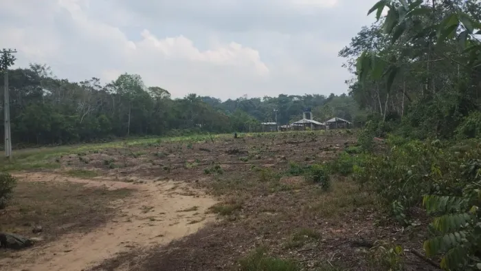 Chácara, Rodovia 352-Km 19-Novo Airão, Área 27.000m2, Casa, Poço Art. Área Verde.