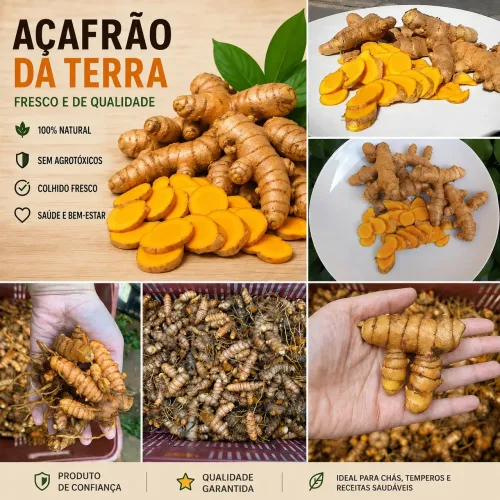Açafrão da terra cúrcuma raiz 1 kg