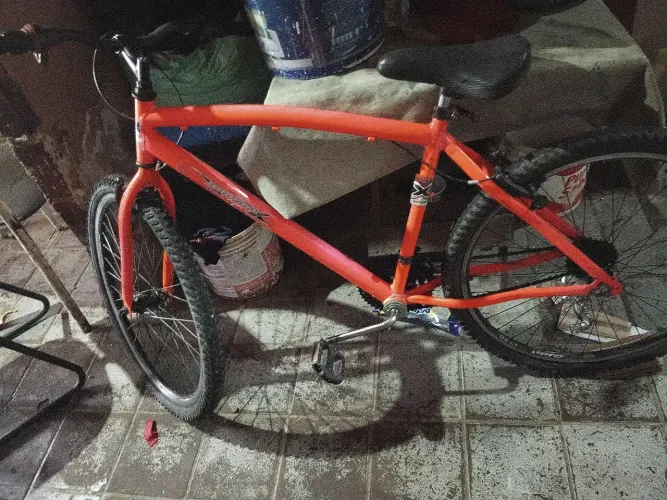 Bicicleta