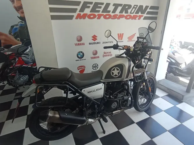 Royal himalayan 411