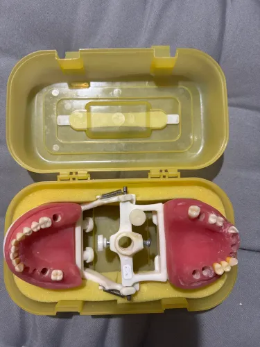 Manequim Dentistica Pronew