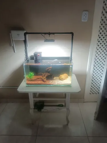 Aquário 55 litros