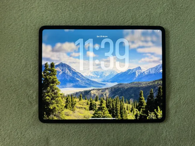 iPad Pro 13 M4 | Wi-Fi + Celular | 256 GB