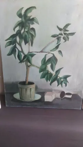 Quadro de plantas