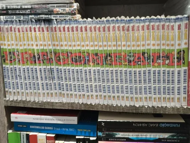 Dragon Ball Panini 1 Ao 42 Completo Mangá
