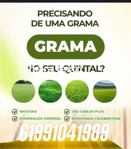 Venda e plantio de gramas