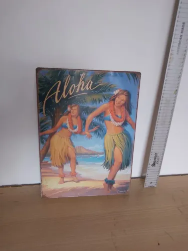 Quadros decorativos  Hawai surf praia mar 