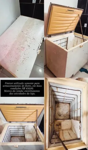FREEZERS HORIZONTAIS - A PARTIR DE R$ 450,00