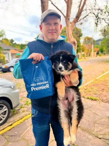 Filhotes de Husky Siberiano de Alto Padrão - Pedigree e Procedência!
