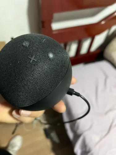 ALEXIA ECHO 3
